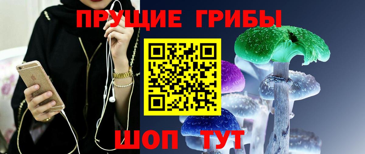 Галлюциногенные грибы Cubensis Ноябрьск